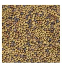 Seeds germinate - Alfalfa - Roquette BIO, 150 g